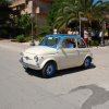 Montevago 2010 (244)